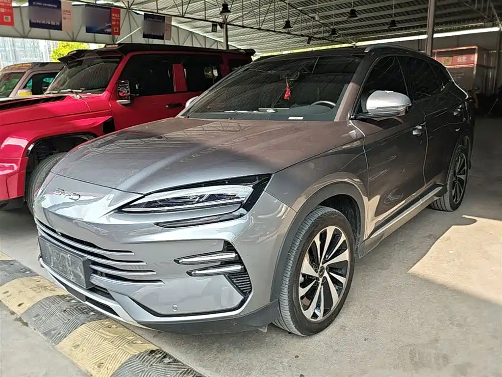 BYD PLUS New Energy 2024 — фото 2