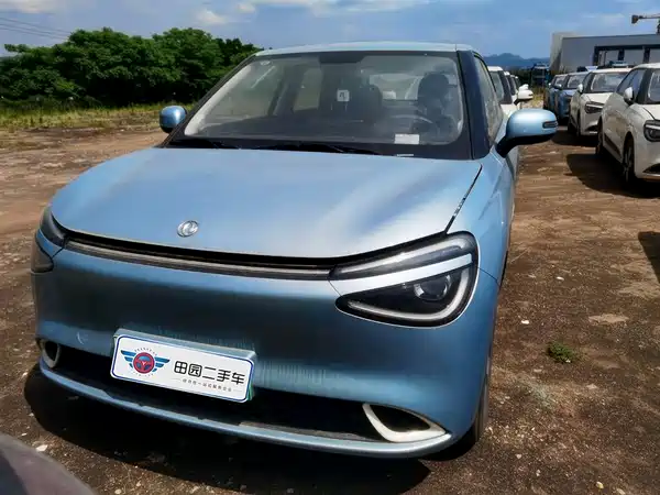 Dongfeng Nano 01 2024