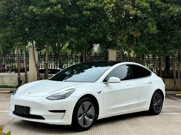Tesla Model 3 2019