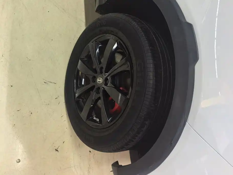 BYD S2 2020