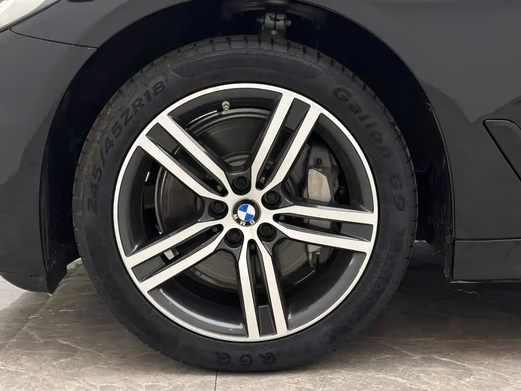 BMW 5 Series 2020 — фото 19