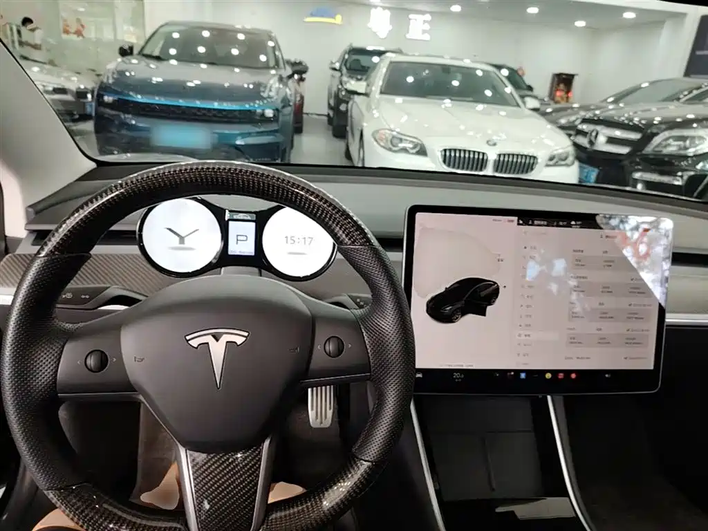 Tesla Model 3 2021 — фото 10