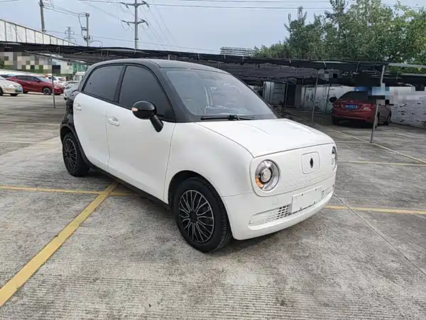Ora Black Cat 2020
