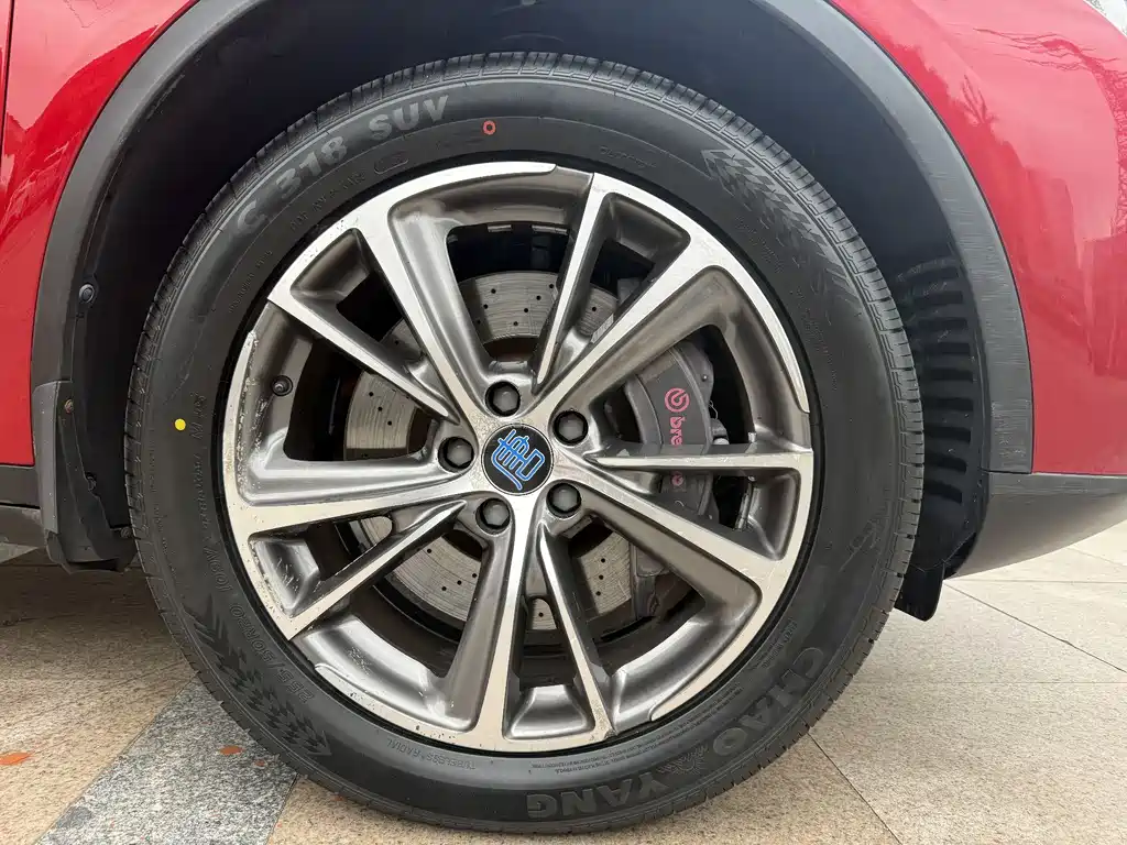 BYD Tang New Energy 2019 — фото 16