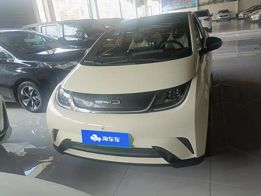 BYD Dolphin 2022
