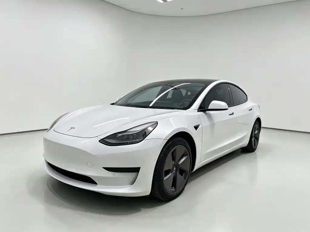 Tesla Model 3 2021 — фото 1
