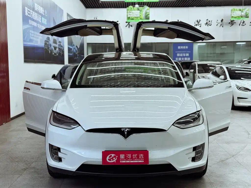 Tesla Model X 2017 — фото 9