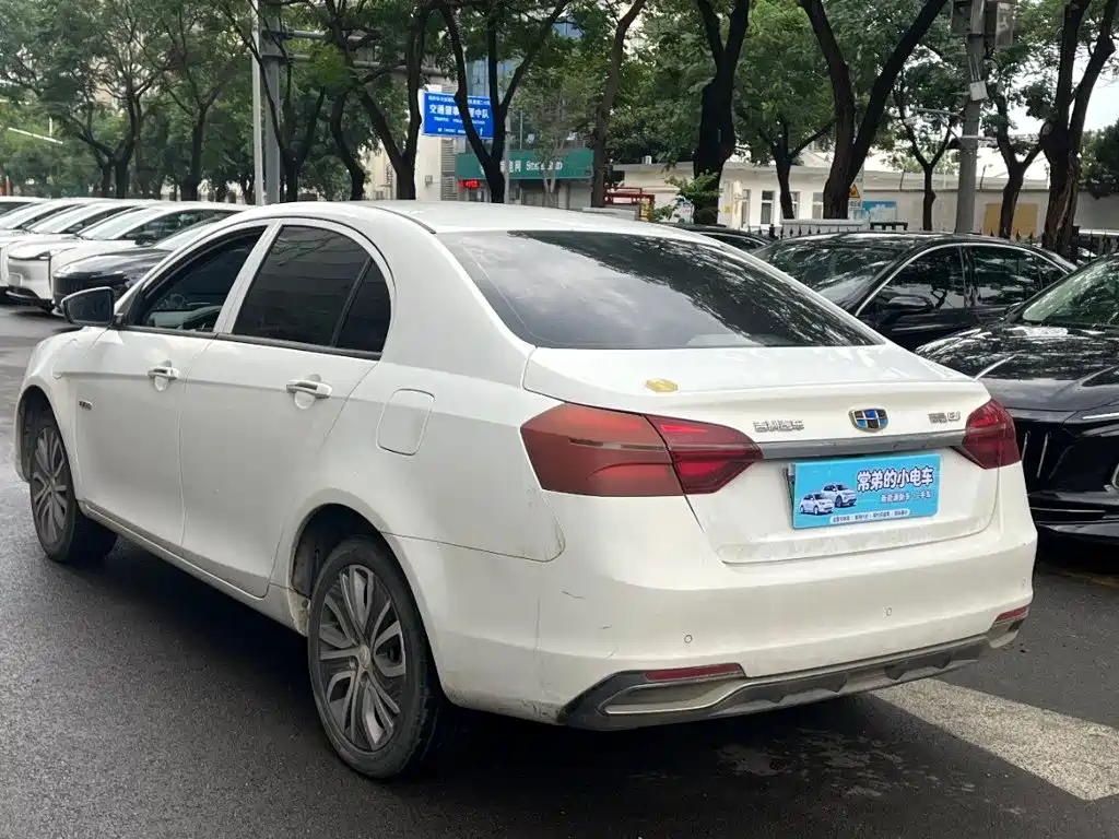 Geely New Energy 2018