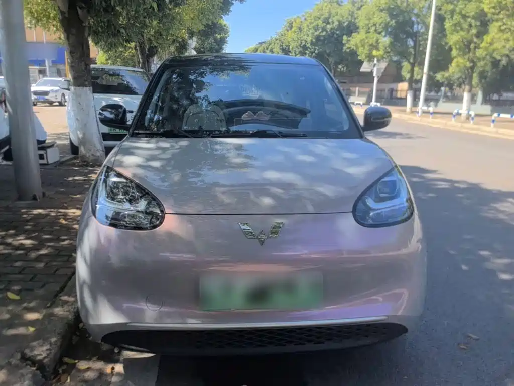 Wuling Bingo 2024