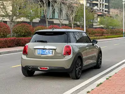 MINI MINI 2020