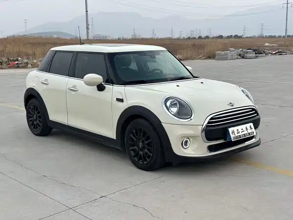 MINI MINI 2020