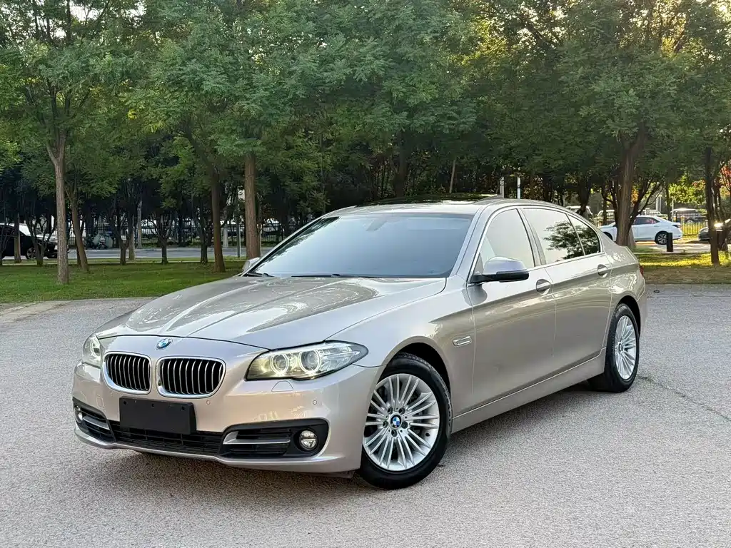 BMW 5 Series 2015 — фото 1