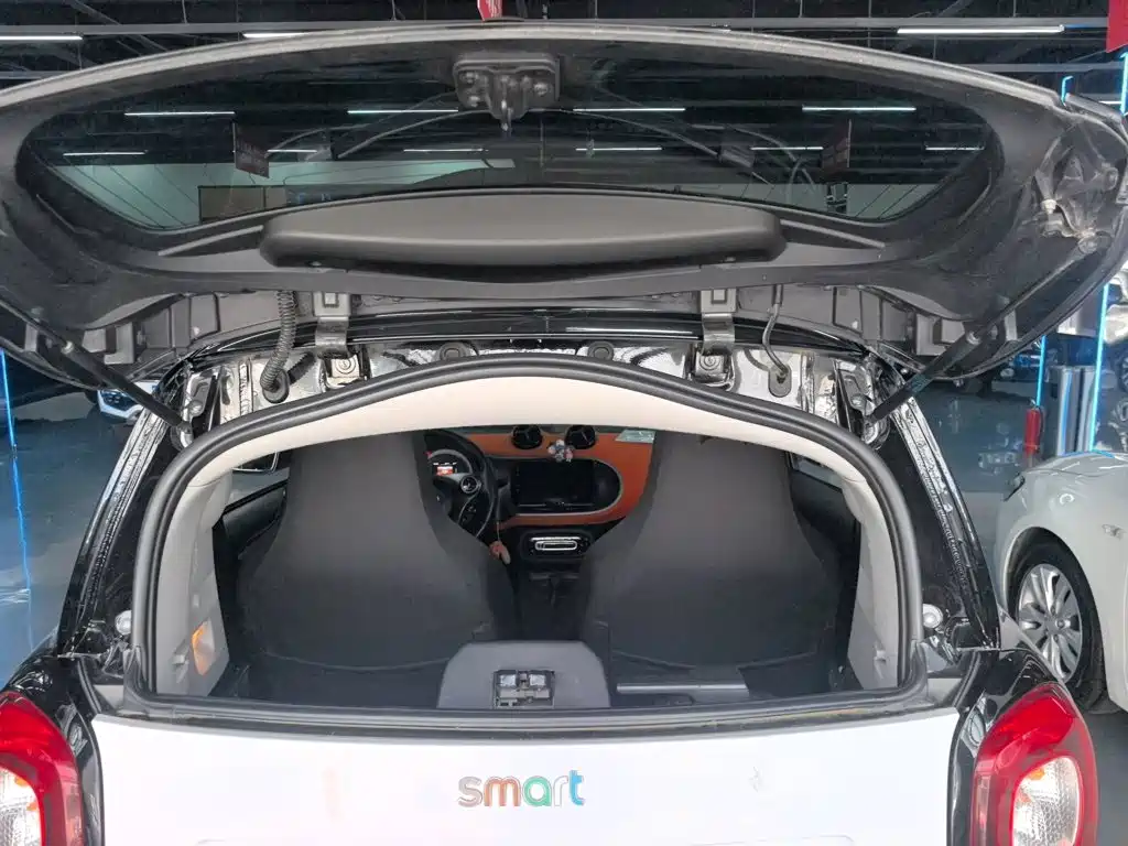 smart fortwo 2015 — фото 15