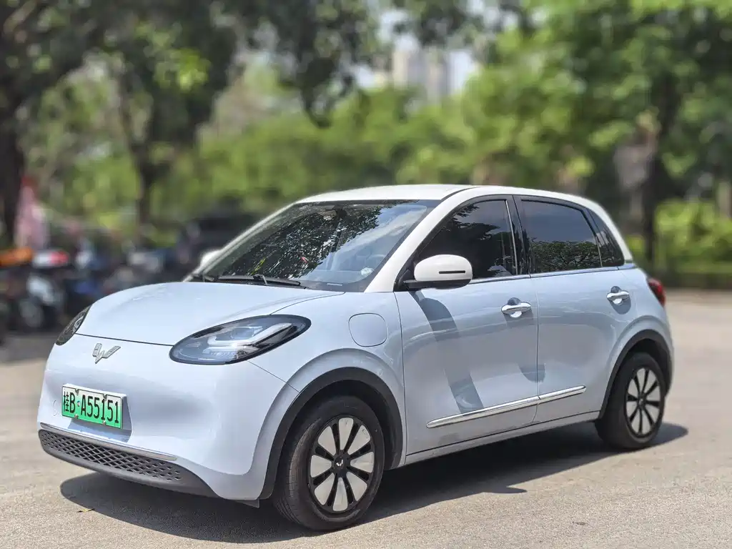 Wuling Bingo 2024