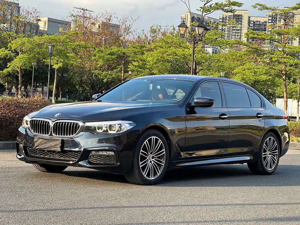 BMW 5 Series 2018 — фото 22