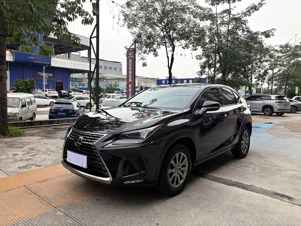 Lexus NX 2021 — фото 1