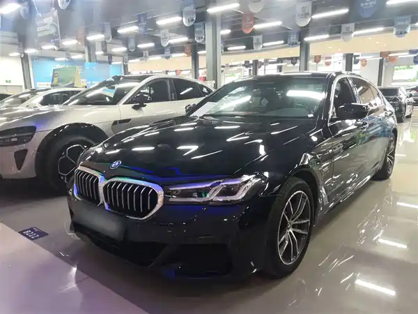 BMW 5 Series New Energy 2022