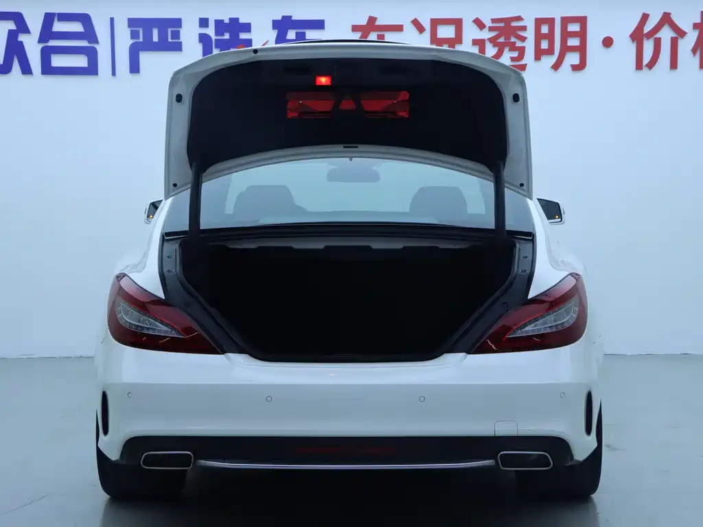Mercedes-Benz CLS 2015 — фото 21