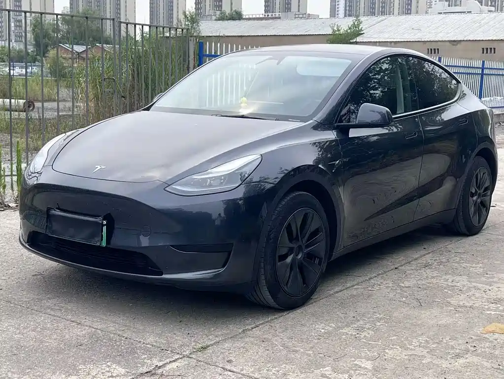 Tesla Model Y 2024 — фото 1