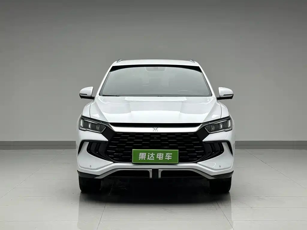 BYD Pro New Energy 2024 — фото 2