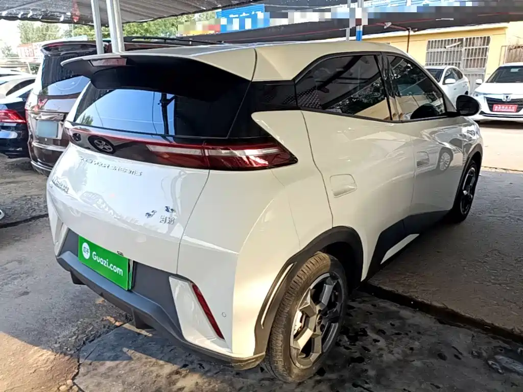 BYD Seagull 2024