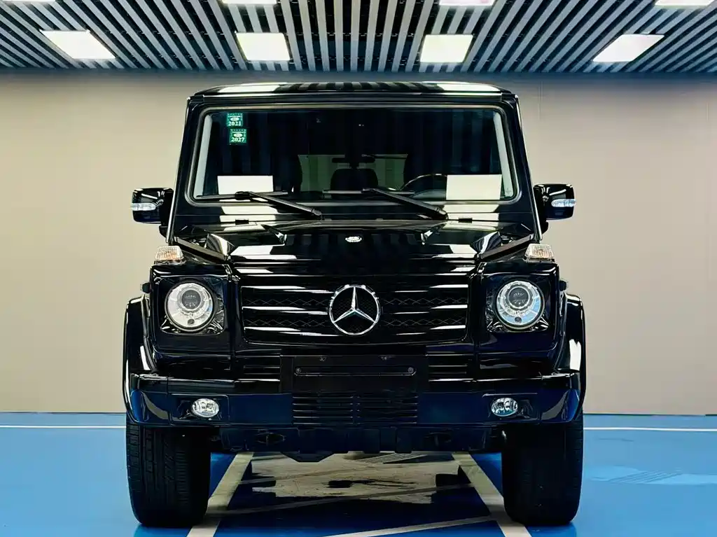 Mercedes-Benz G-Class 2012 — фото 2
