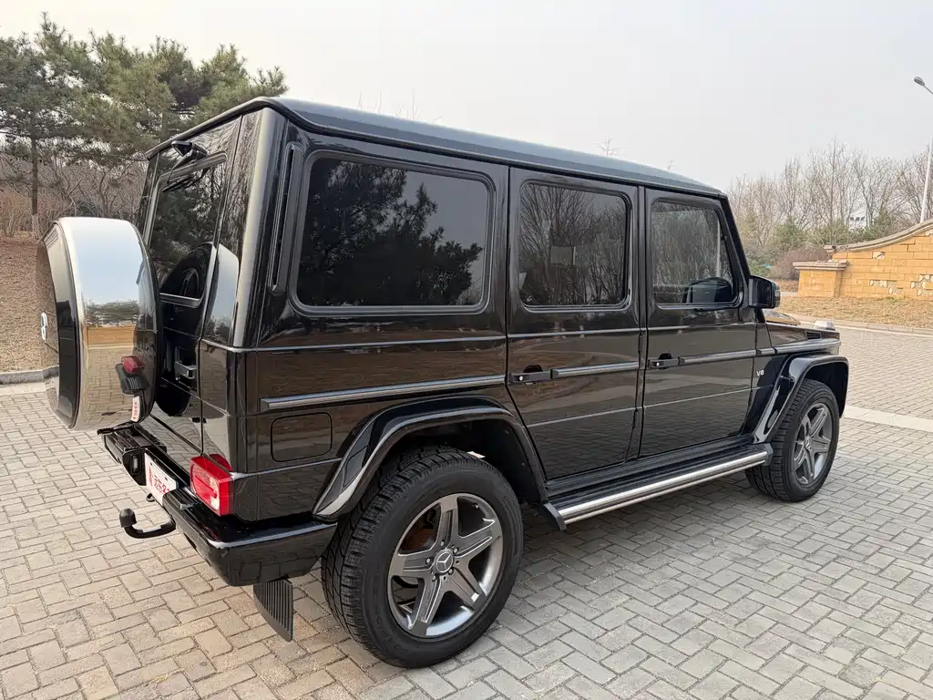 Mercedes-Benz G-Class 2016 — фото 10