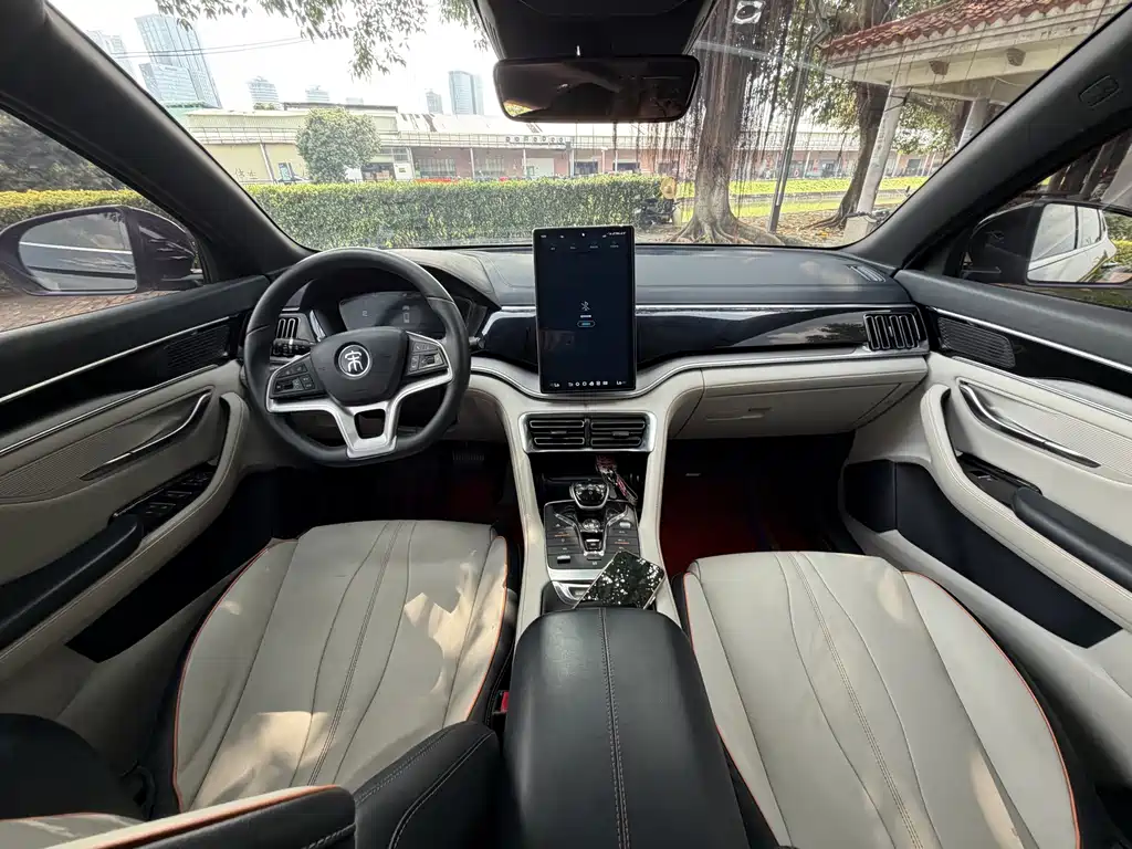 BYD PLUS New Energy 2022 — фото 13