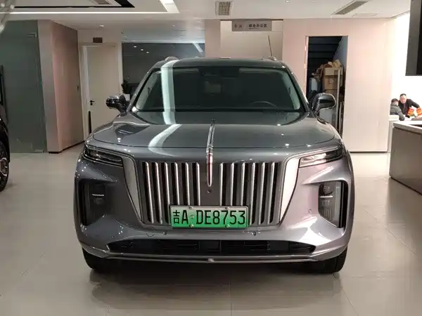 Hongqi E-HS9 2022