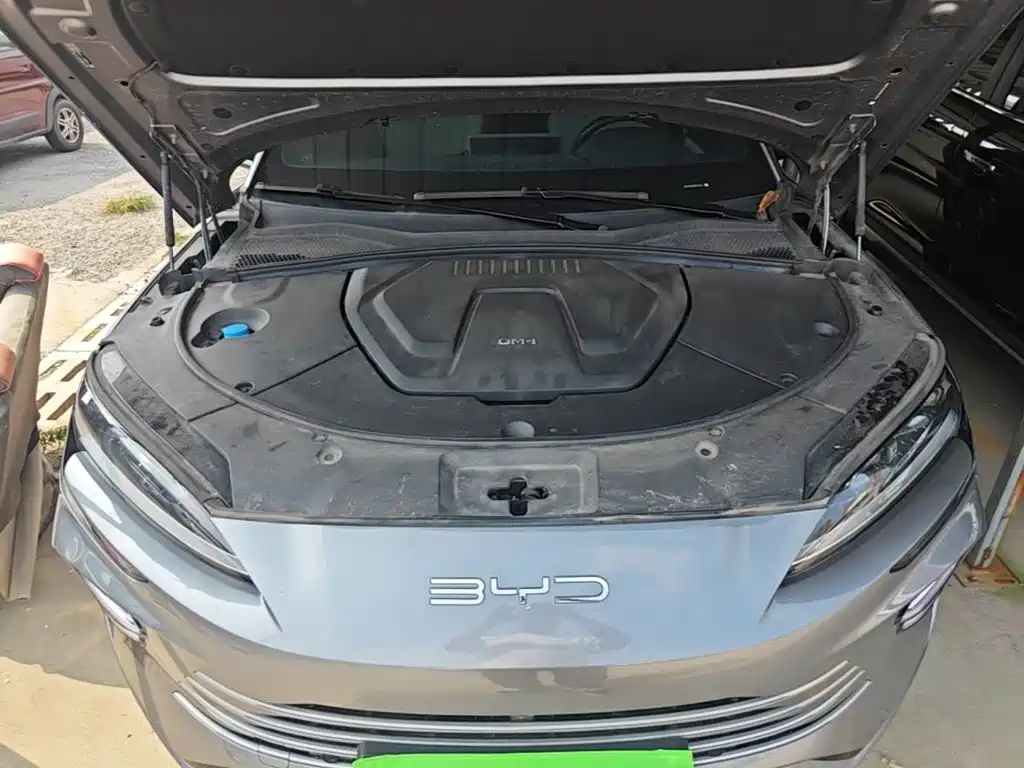 BYD Song PLUS New Energy 2023 — фото 20