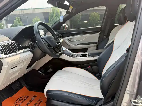 BYD Song PLUS New Energy 2024