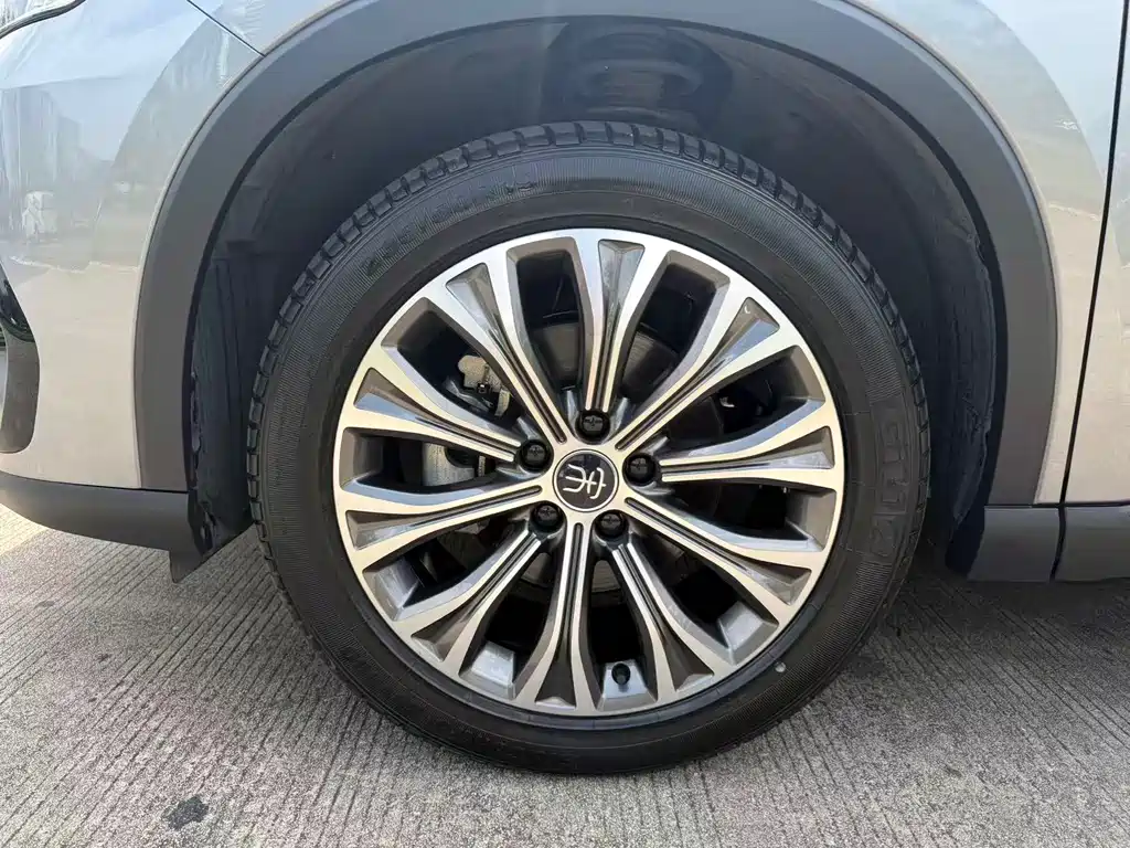 BYD Song Pro New Energy 2022 — фото 15