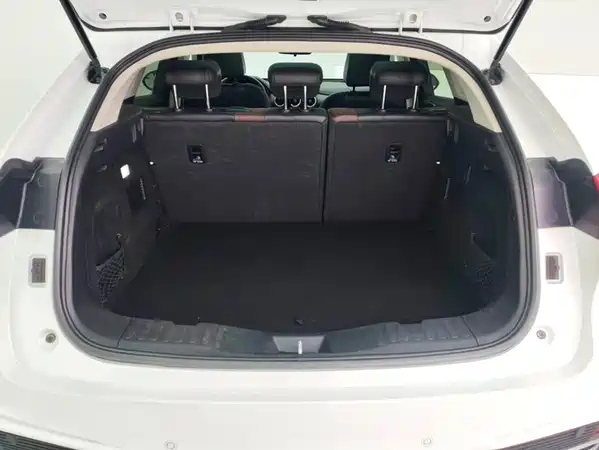 Wey VV5 2021
