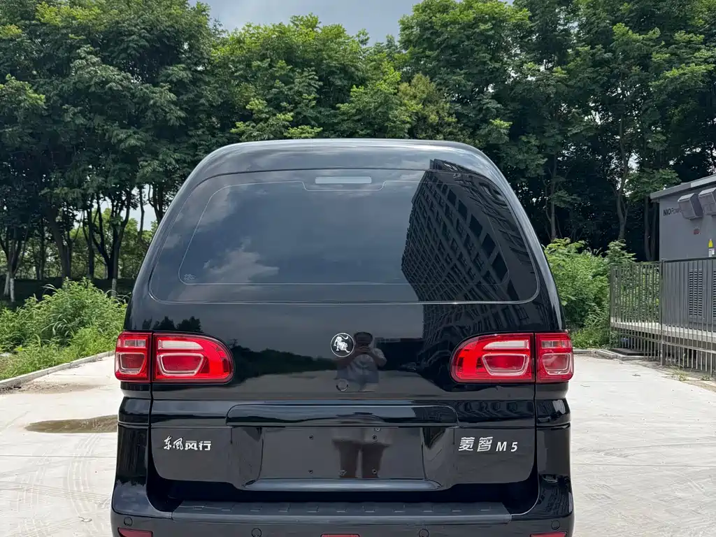 Dongfeng Lingzhi 2022