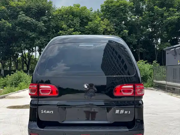 Dongfeng Lingzhi 2022