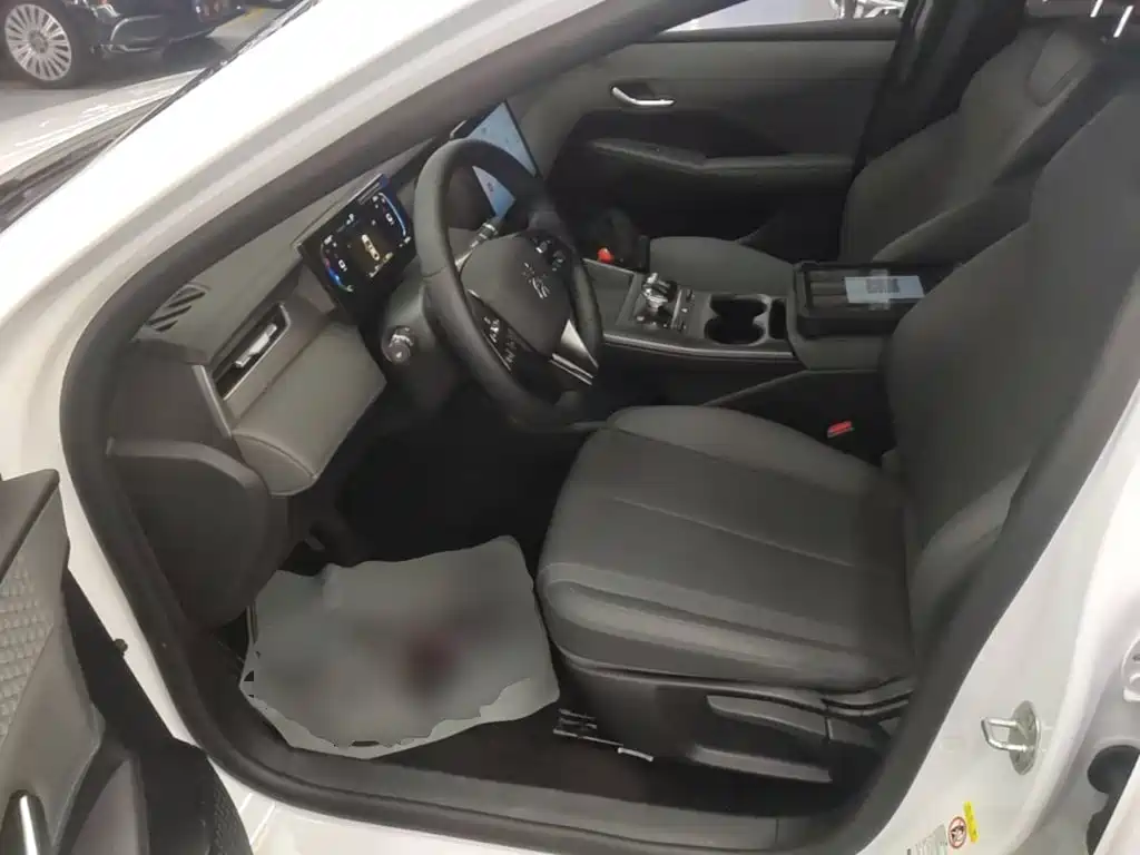 BYD Qin PLUS 2025 — фото 15