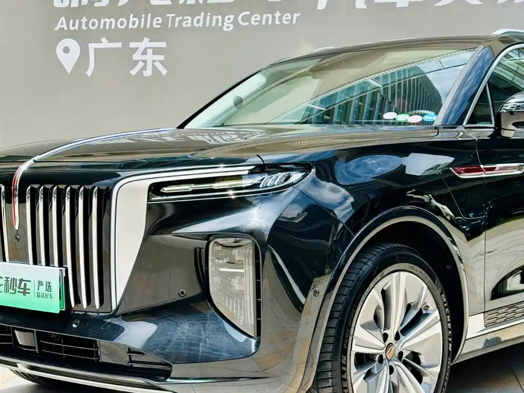 Hongqi E-HS9 2023 — фото 18