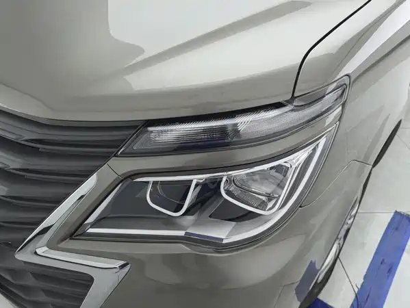 Dongfeng Lingzhi 2025