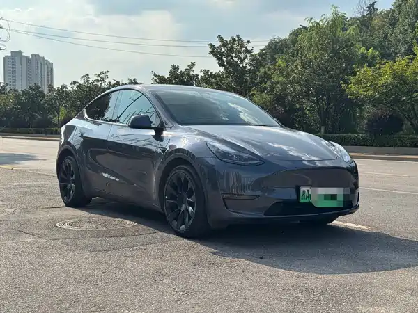 Tesla Model Y 2021