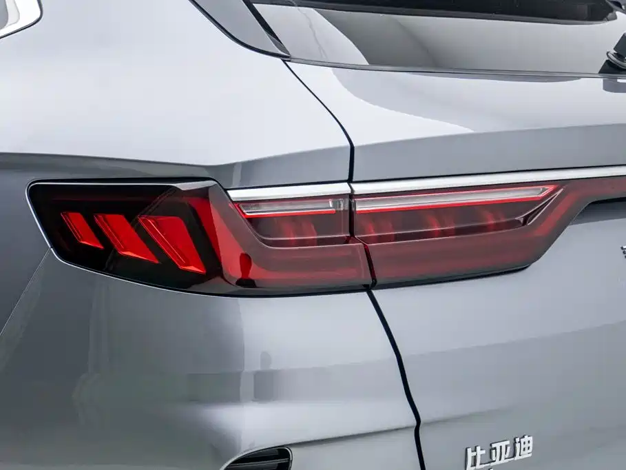 BYD Song PLUS New Energy 2024 — фото 25
