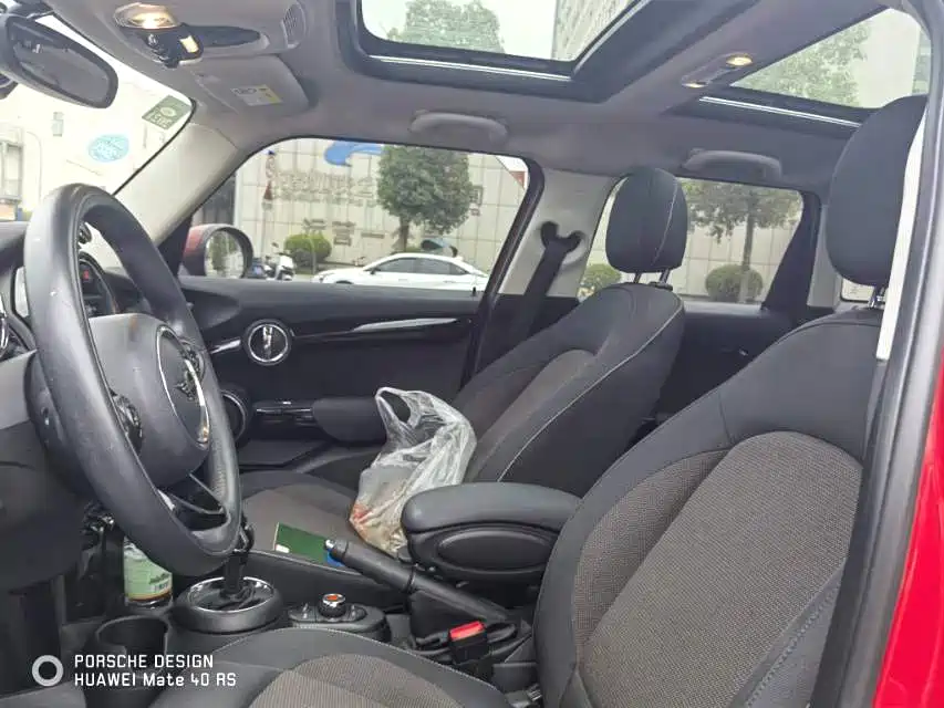 MINI MINI 2019