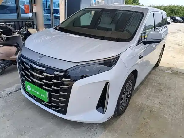 BYD Summer 2025