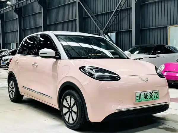 Wuling Bingo 2024