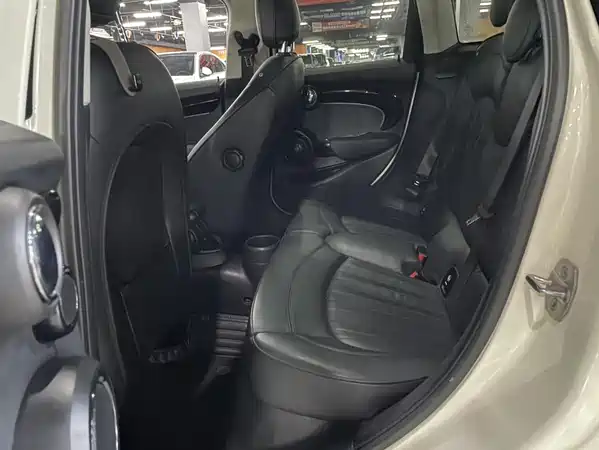 MINI MINI 2022