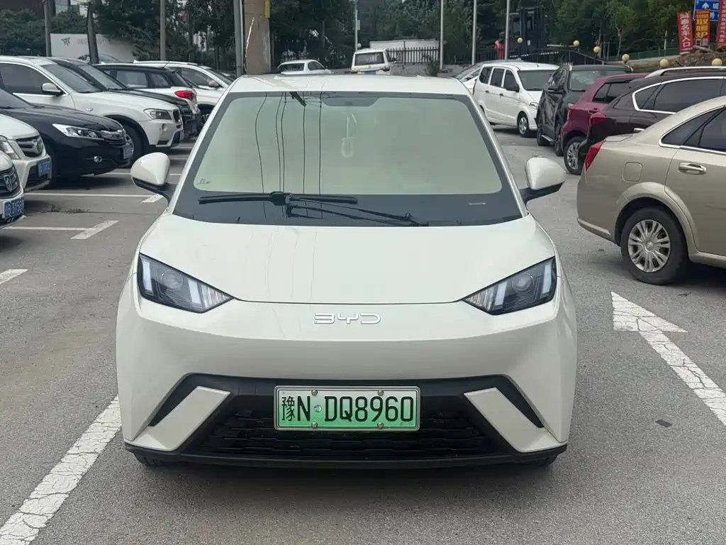BYD Seagull 2025