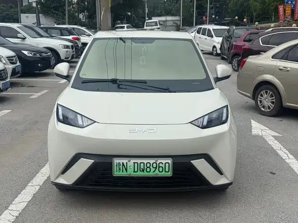 BYD Seagull 2025