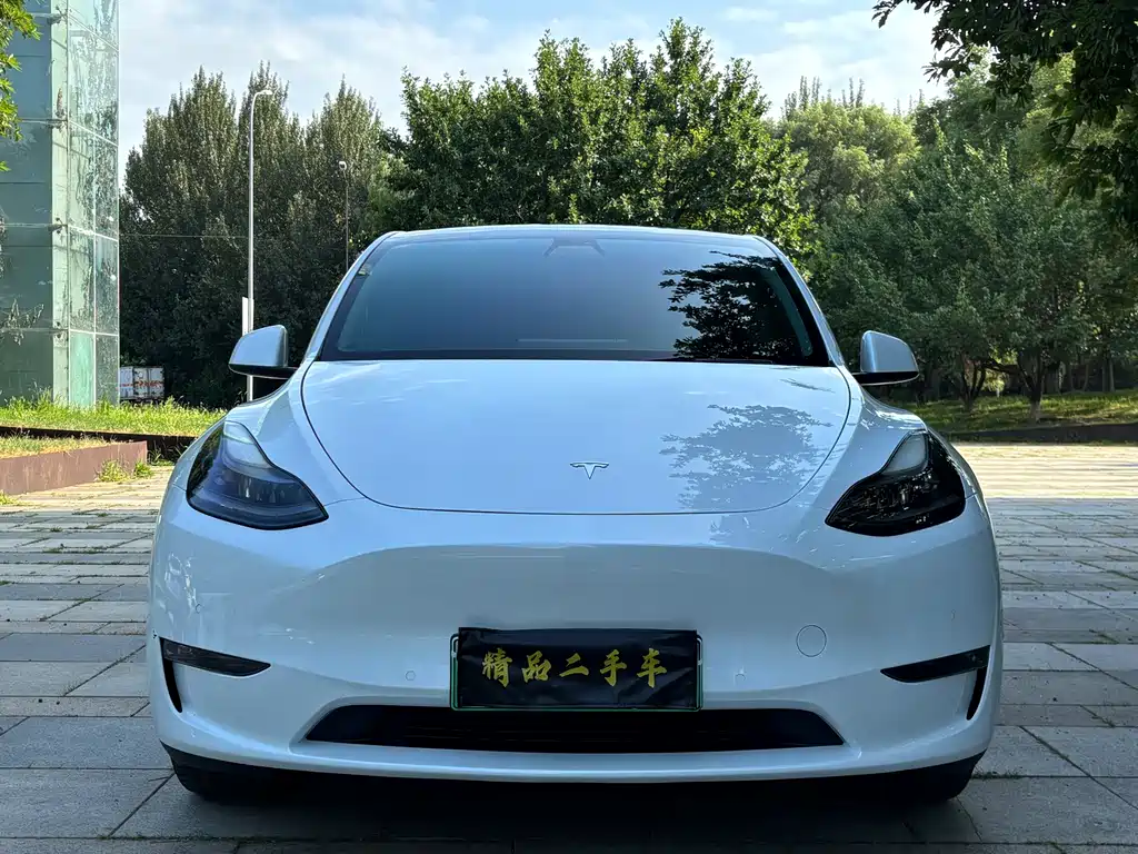 Tesla Model Y 2021 — фото 2