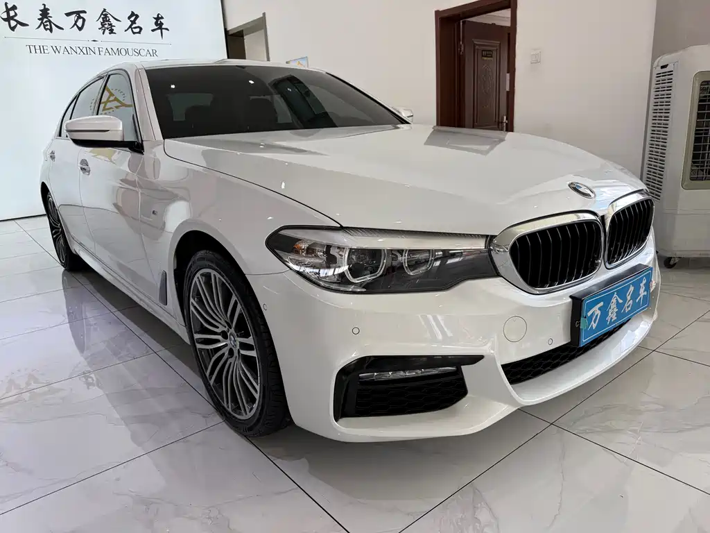 BMW 5 Series 2018 — фото 3