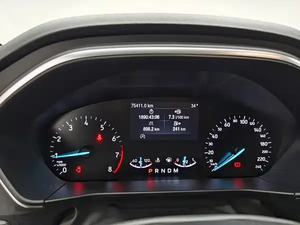 Ford Fox Active 2020