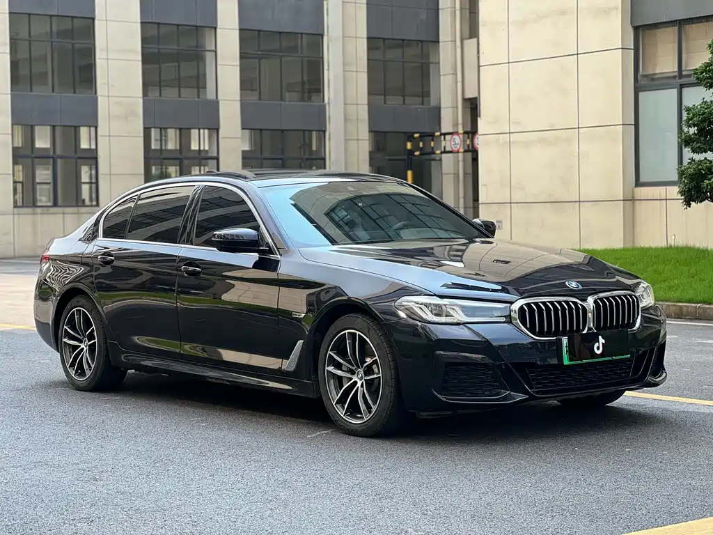 BMW 5 Series New Energy 2021